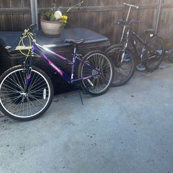 Boy And Girls Bikes