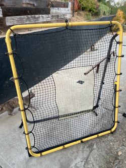 Sports rebounder