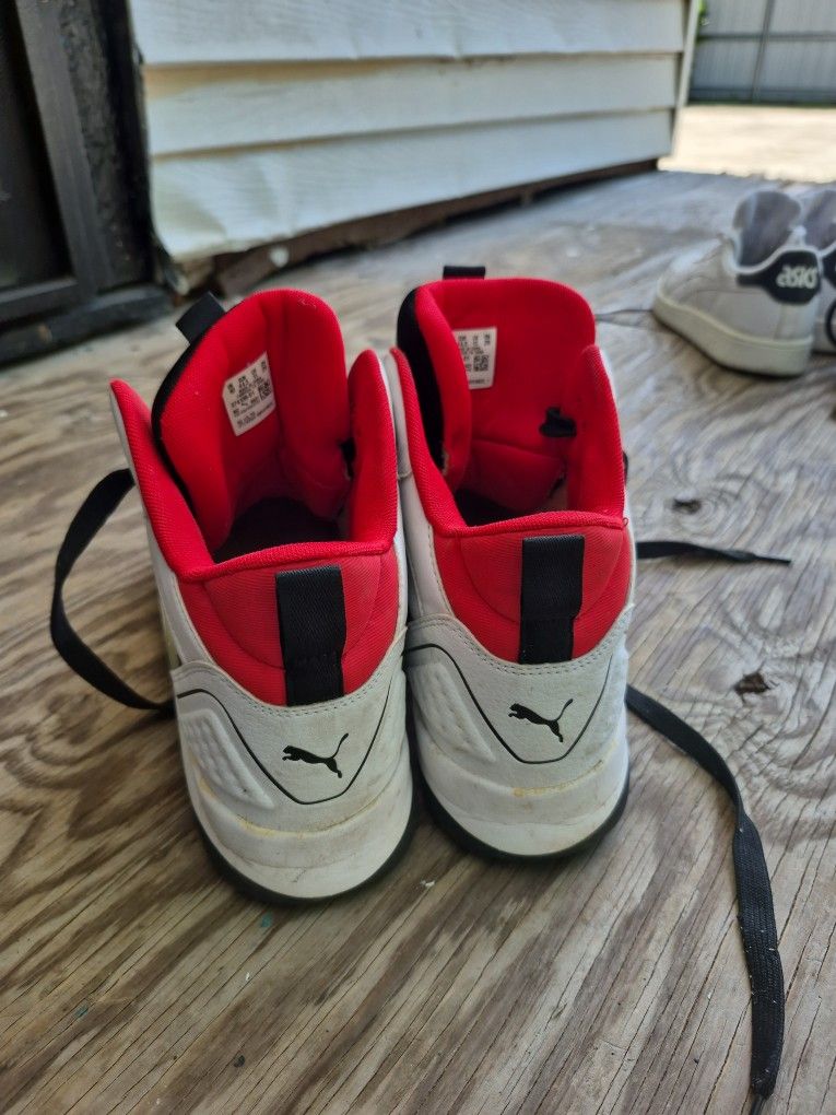 Puma