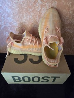 Used Adidas Yeezy 350 Boost 9m