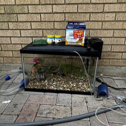 10 Gallon Fish Tank