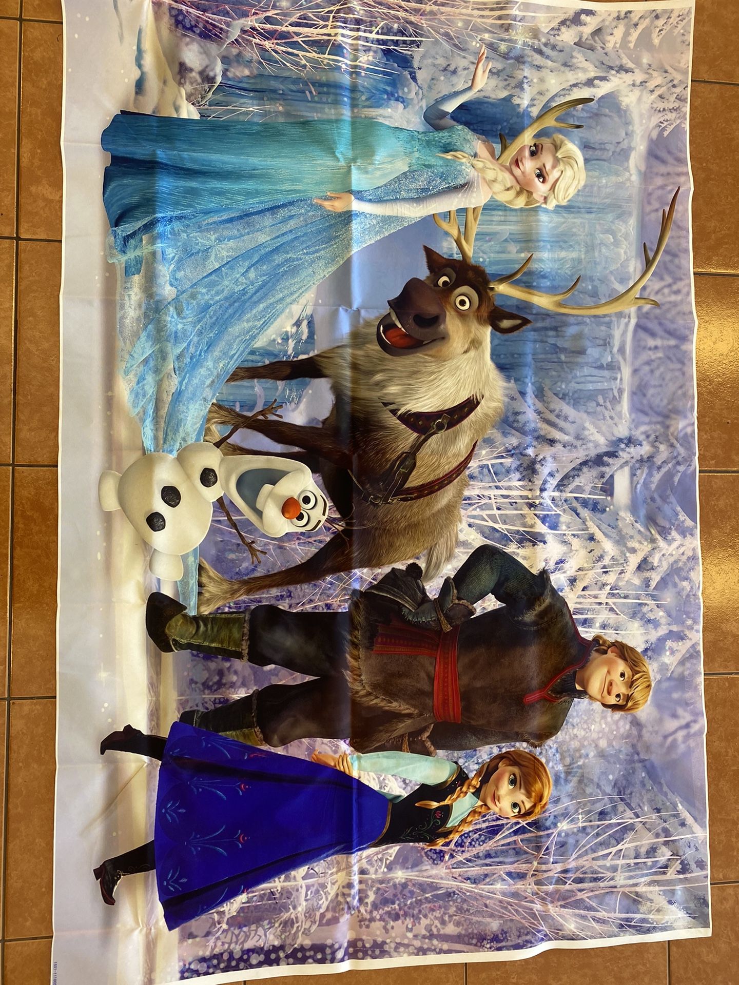 Frozen Party Decorations