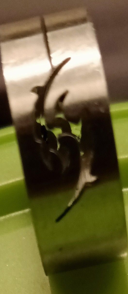 Stainless Steel Ring