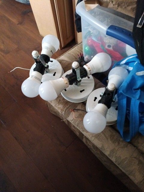 Lights $10 Each