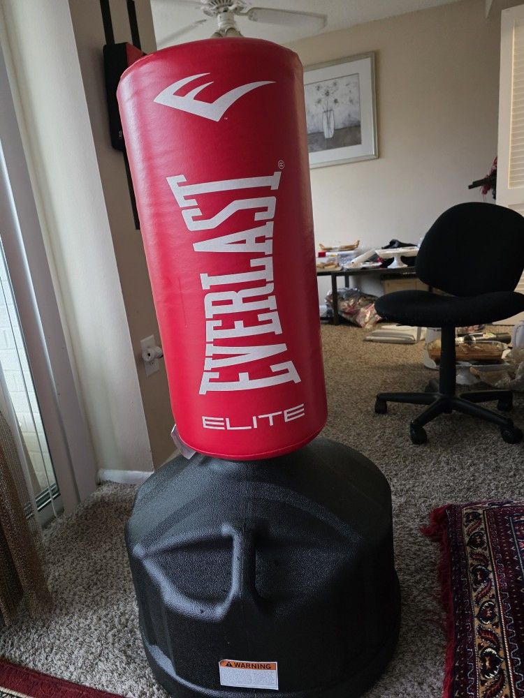 Standing Punching Bag