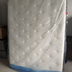 Mattress - Queen - Therapedic