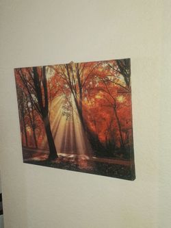 4 seasons