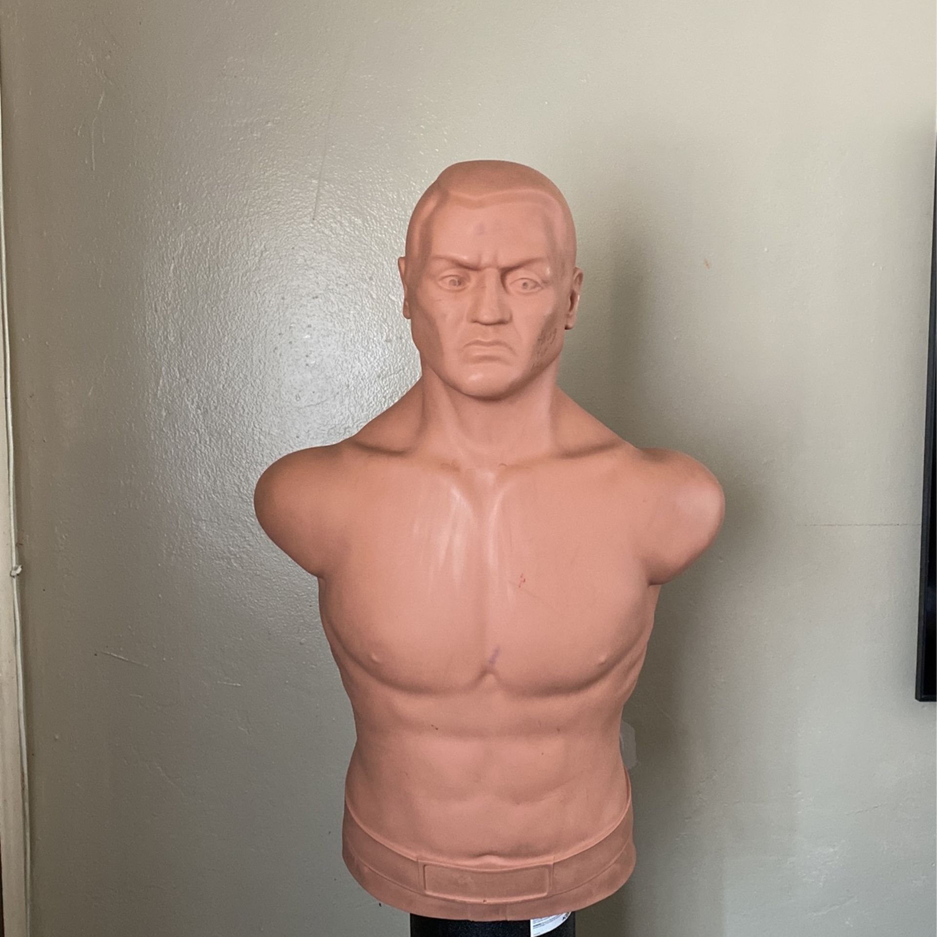 Bob Punching Dummy for Sale in El Cajon, CA OfferUp