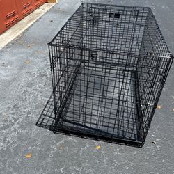 Metal Dog Crate With Liner