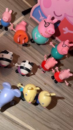 Peppa pig character and case