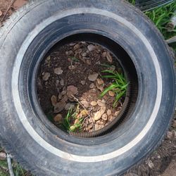 205x75x14 Spare Tire 