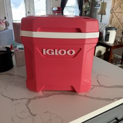 igloo As Chest
