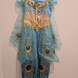 Princess Jasmine Costume Size7/8
