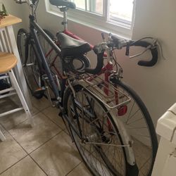 Schwinn Beach Cruiser