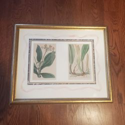 Samuel curtis orginal hand water color on steet engravings art 21.5 x 18