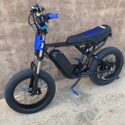 Brand New Built Ridstar