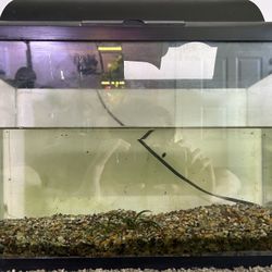 5 Gallon Aquarium with Lid/Light