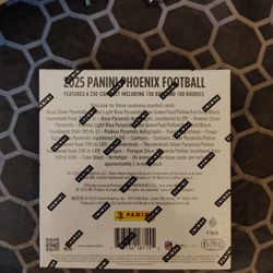 Panini Mega Box 