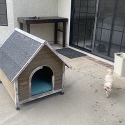 Dog House 