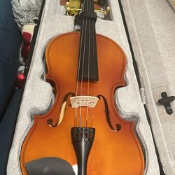 Violin musical instrument in perfect condition