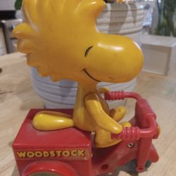 Vintage Woodstock On Scooter