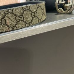 Gucci Belt 