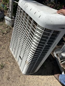 Water fan