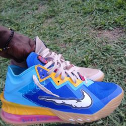Nike Space Jam X LeBron 18 Lows 