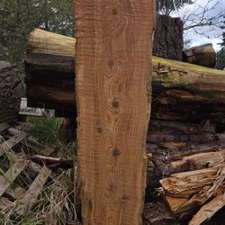 Cedar Slab