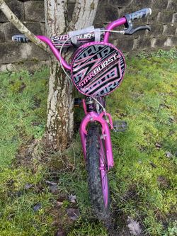Toddler Bike 16”