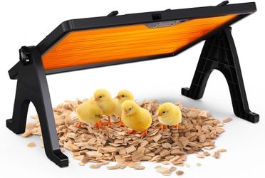 Double Sided Chick Brooder Plate