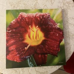 Floral Canvas Wall Art – Set of 3 (High-Quality Prints)