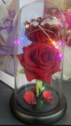 Red Rose Glass