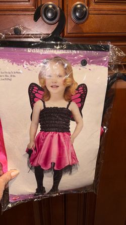 Baby. Butterfly. Toddler.  Girl.  Halloween costume.  Size.    18 to 24 months new