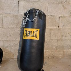 Everlast punching bag w/ I beam bracket