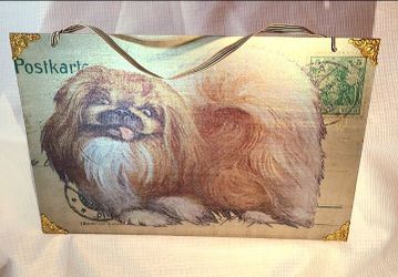Hardenbrook Studio Maine Golden Pekingese Dog Postcard 10x14 Magnetic Wall Art