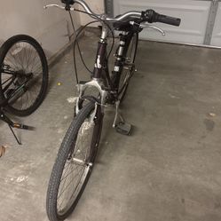 Raleigh Beach Cruiser Bike
