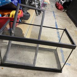 10 Gallon Terrarium Tank