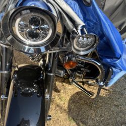 Harley Davidson Engine Guard 