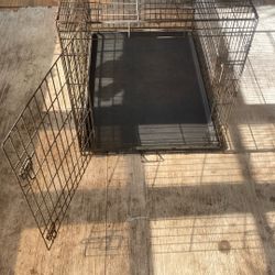 Dog Kennel