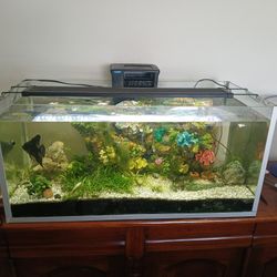 Aquarium/pescadero 