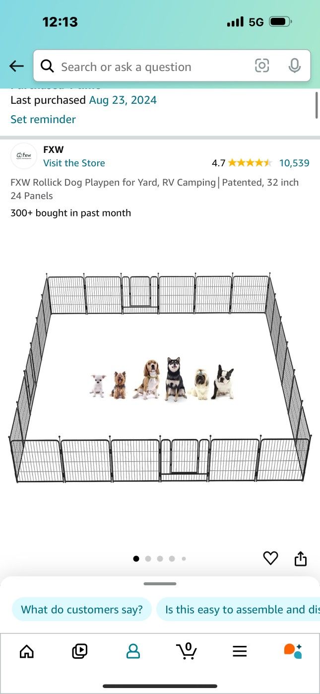 New Dog Fence