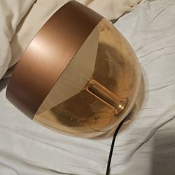 Philips Hue Iris Smart Light Special Edition copper