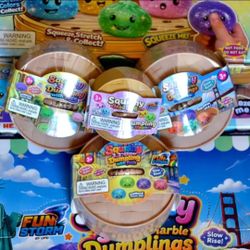 Squishy MYSTERY Dumplings Fidget Toys SET OF 4