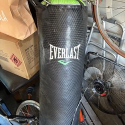 Everlast boxing bag