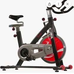 Sunny Stationary Bike