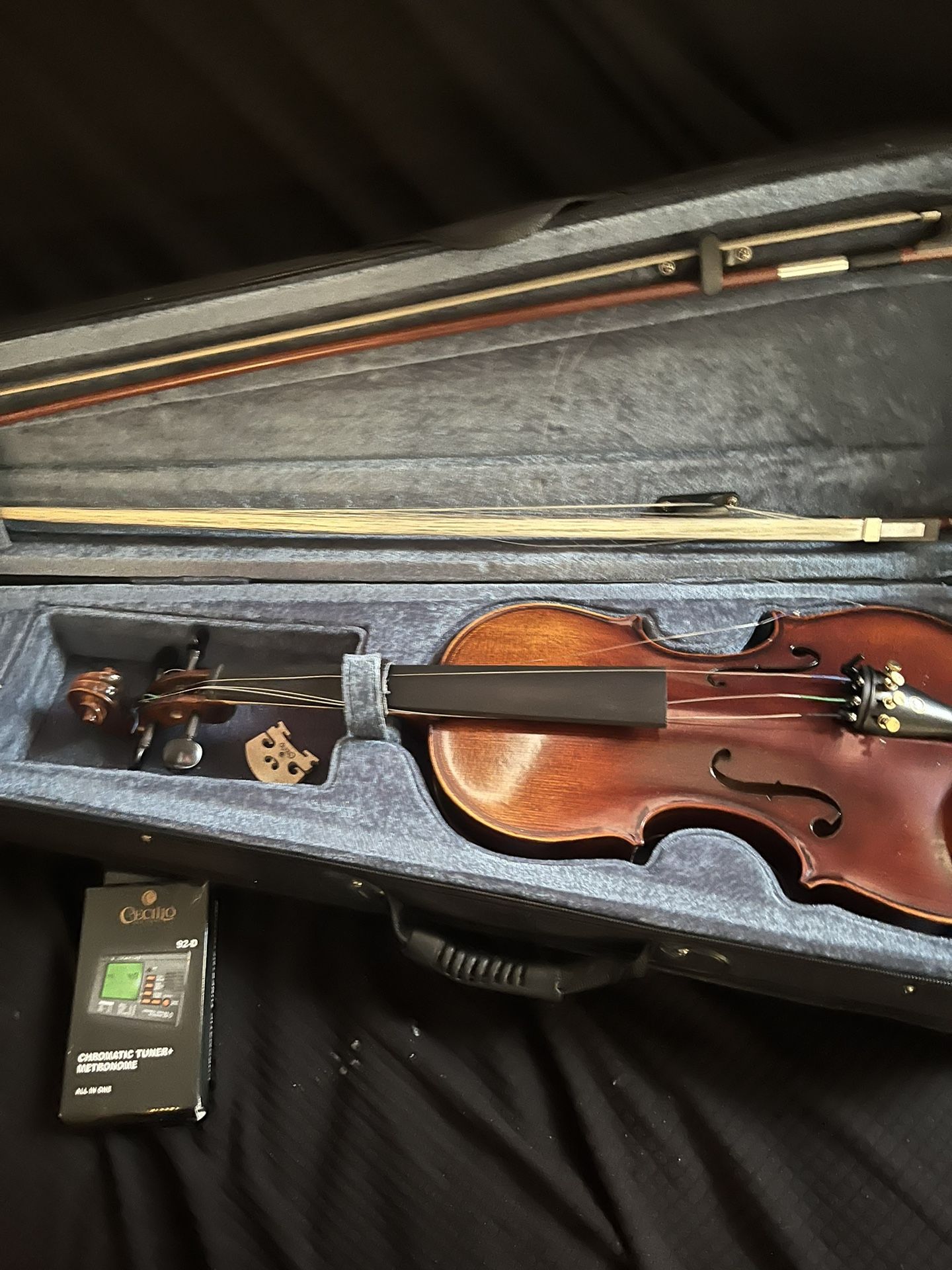 Violin