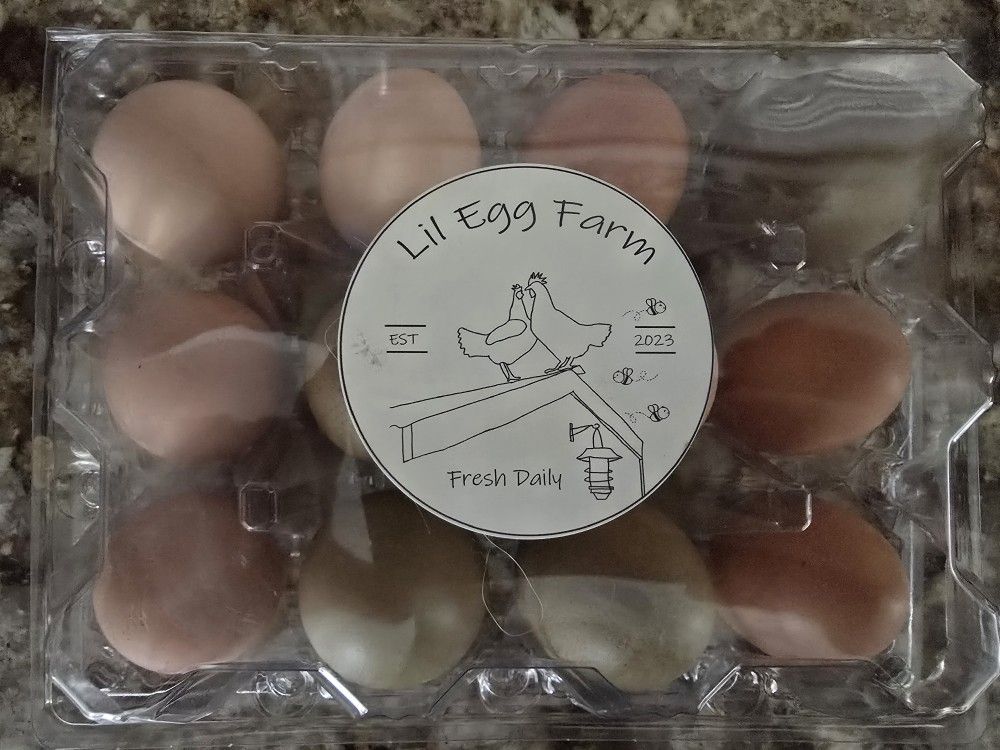 Fresh Eggs
