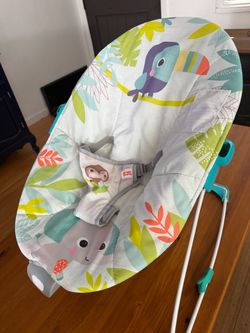 Bright Starts Baby Bouncer Seat