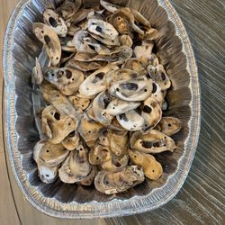 LARGE OYSTER SHELLS